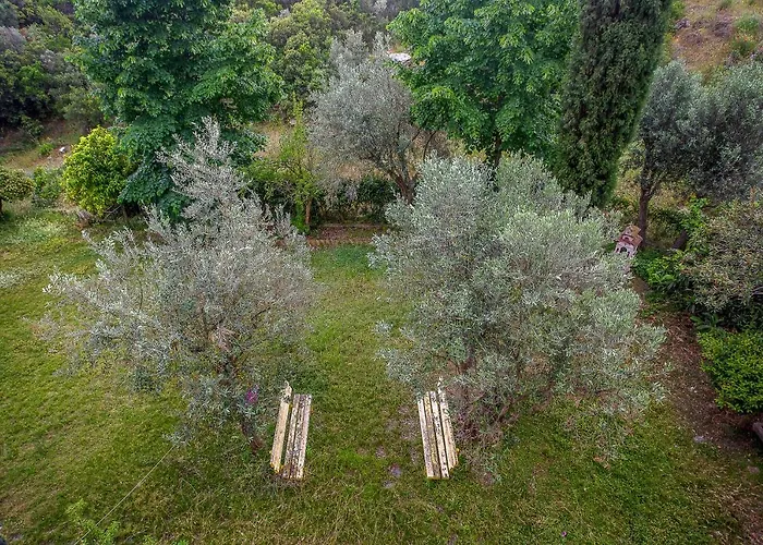 Belvedere Appartments *